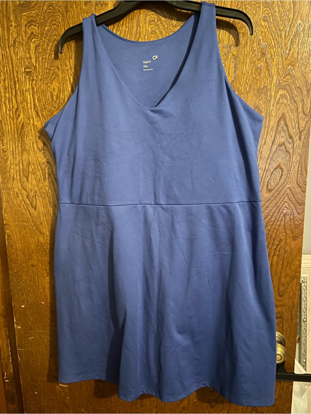 GAP Sleeveless V-Neck Dress in Blue